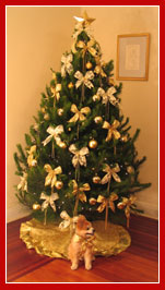 Live Christmas Tree - Mid Sized 8 foot, Golden Lustre and Champagne decorations