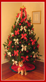 Live Christmas Tree - Mid Sized 8 foot, Traditional Red and Green decorations