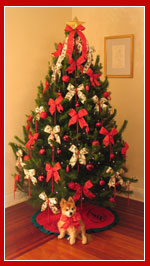 Live Christmas Tree - Mid Sized 8 foot, with Traditional Reds Decoration