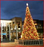 Giant Artificial Christmas Tree - Gallery