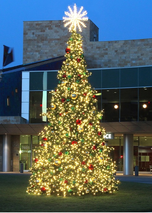 Giant Majestic Pre-lit Outdoor Christmas Tree