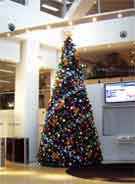 News Ltd. Christmas Tree, Corporate